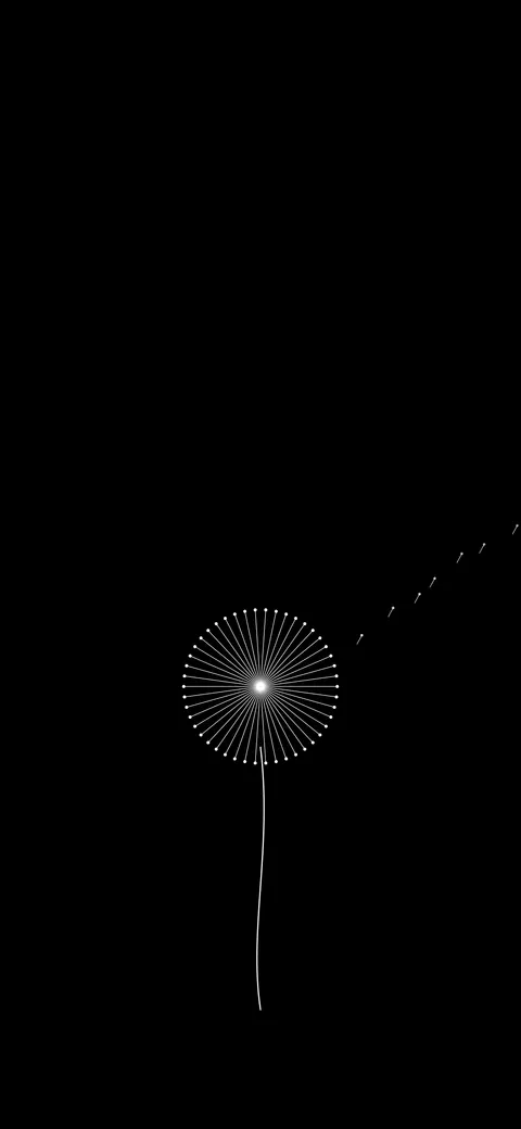 Dandelion Seeds, amoled phone wallpaper