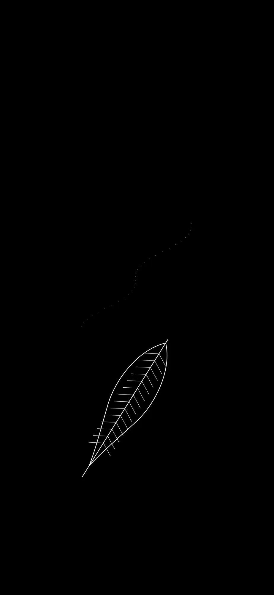 Falling Feather: A single feather drifting down on a dotted path.