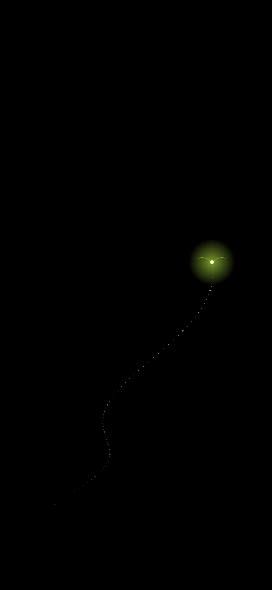 Firefly Trail: A glowing firefly leaving a fading trail of light dots.