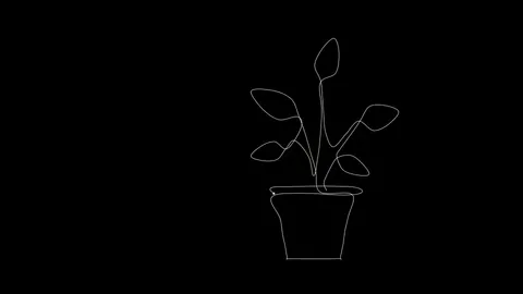Houseplant, One Line, amoled desktop wallpaper