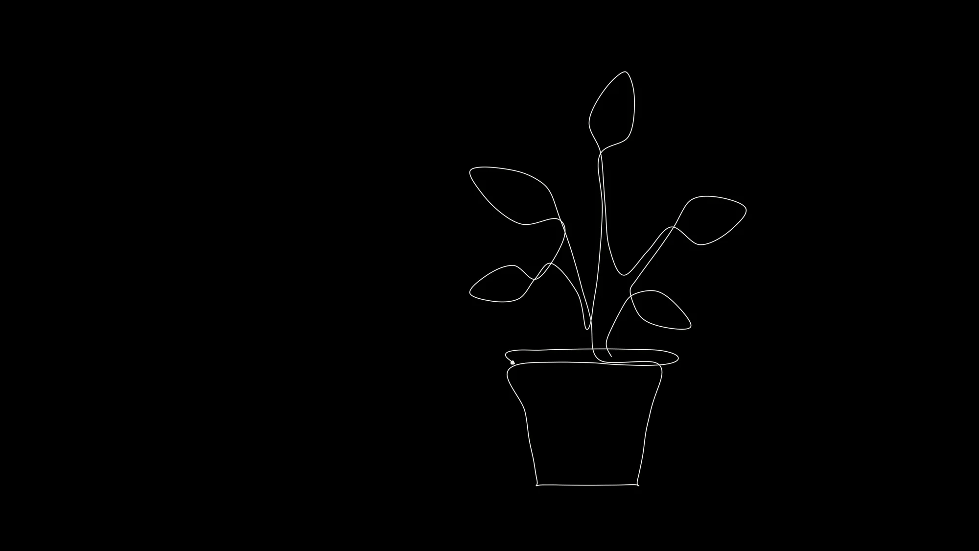 Houseplant, One Line: A potted houseplant drawn in a single unbroken line of white pen on black: the pot, three stems and five broad leaves, with the pen doubling back along the stems the way a real one-line drawing does.