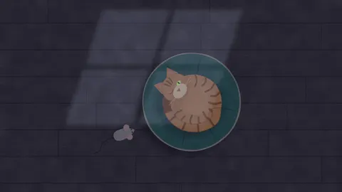 Cushion Cat (Dark), duo desktop wallpaper